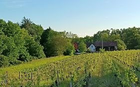Gîte au milieu des vignes